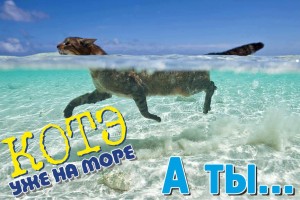 Горящие туры из Москвы